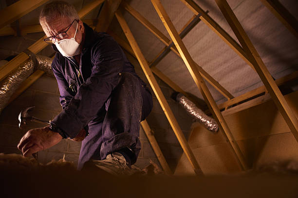 Best Insulation Maintenance and Repair in Tucker, GA